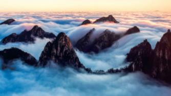 虫虫助手下载